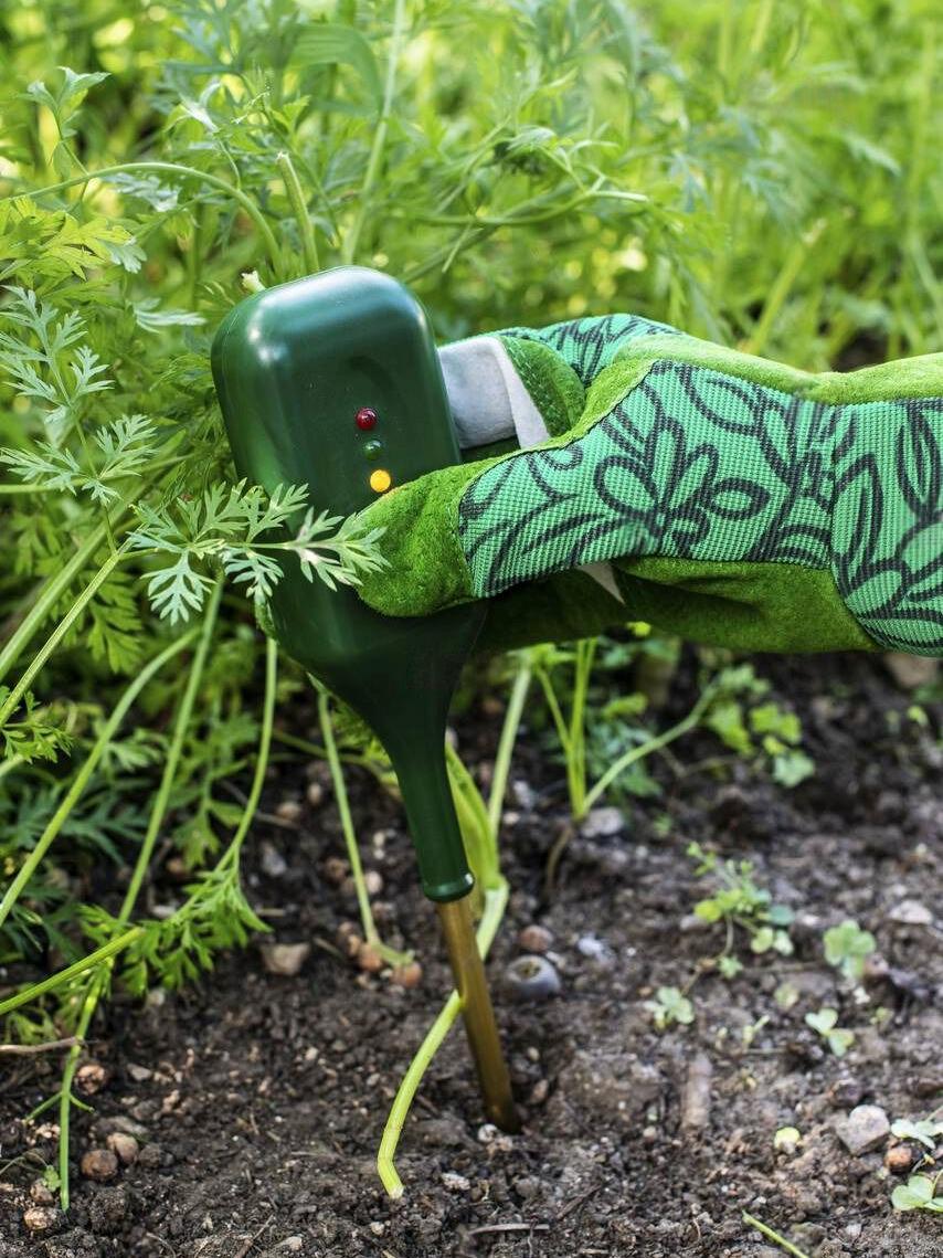Nutrients soil meter Measure soil for nitrogen content with digital device Woman farmer in a garden Concept for new technology in the agriculture Nutrients soil meter Measure soil for nitrogen content with digital device Woman farmer in a garden Concept for new technology in the agriculture